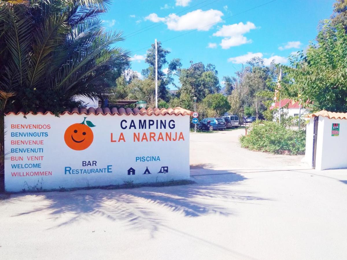 Camping La Naranja Hotel Gandía Exterior photo